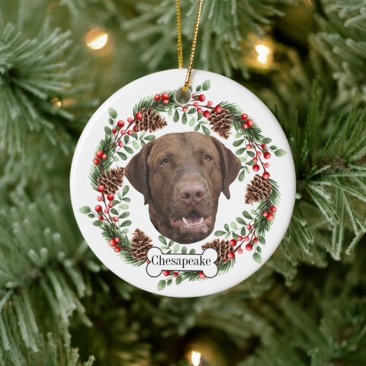 Chesapeake Bay Retriever hond Keramisch Ornament (Boom)