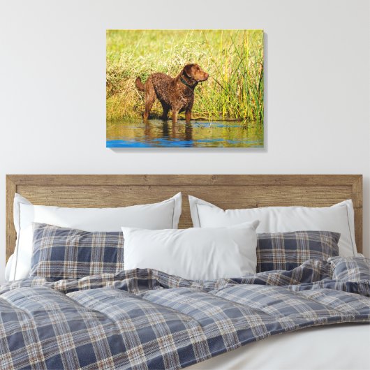 Chesapeake Bay Retriever Hunting Dog Canvas Wrap (Insitu (Slaapkamer))