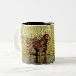 Chesapeake Bay Retriever Hunting Dog Coffee Mok