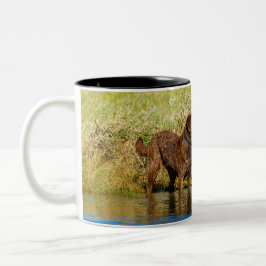 Chesapeake Bay Retriever Hunting Dog Coffee Mok