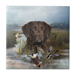 Chesapeake Bay Retriever, Kunst Tegeltje