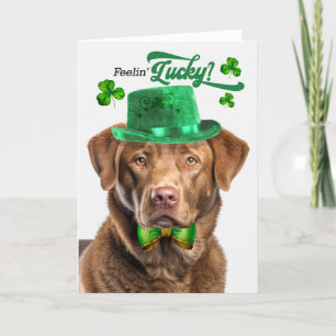 Chesapeake Bay Retriever Lucky St Patrick's Day Feestdagen Kaart