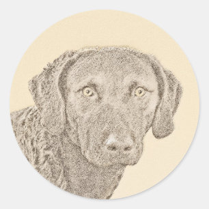 Chesapeake Bay Retriever originele hondkunst schil Ronde Sticker