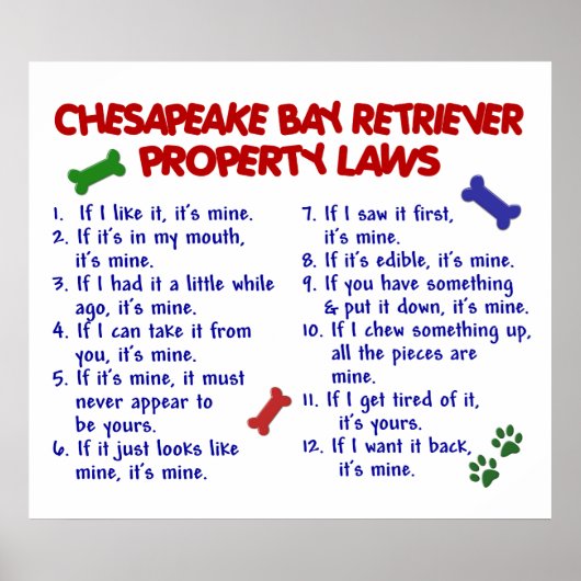 CHESAPEAKE BAY RETRIEVER PL2 POSTER (Voorkant)