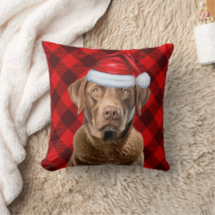 Chesapeake Bay Retriever Plaid Kerstvakantie Kussen