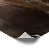 Chesapeake Bay Retriever Poster (Hoek)