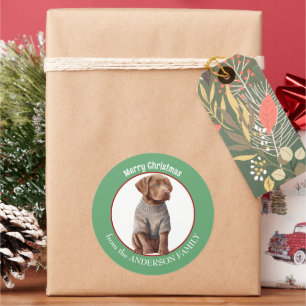 Chesapeake Bay Retriever Pup in Winter Sweater Ronde Sticker