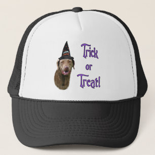 Chesapeake Bay Retriever Trick Trucker Pet