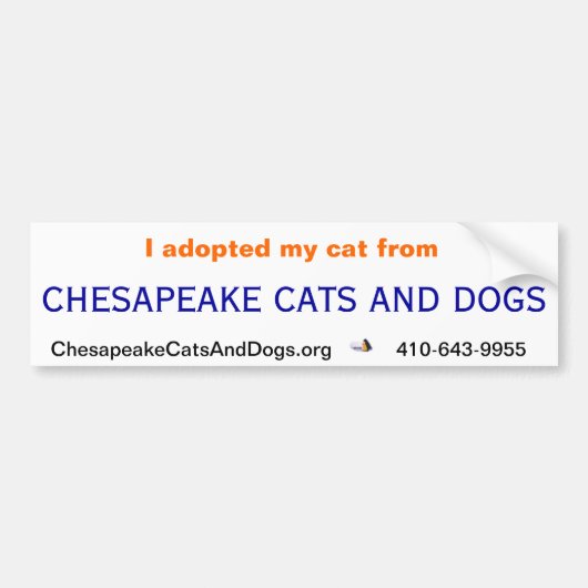 Chesapeake Cats and Dogs Bumpersticker (Voorkant)