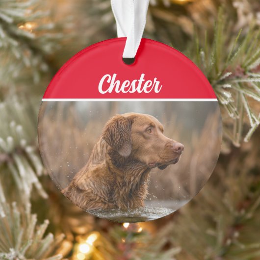 Chesapeake Retriever met naam en kerstfoto Ornament (Boom)
