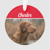 Chesapeake Retriever met naam en kerstfoto Ornament (voorkant)