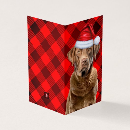 Chesapeake Retriever Rouge Plaid Noël (Outside)