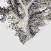 Cheshire Cat Alice Wonderland Tissuepapier (Detail)