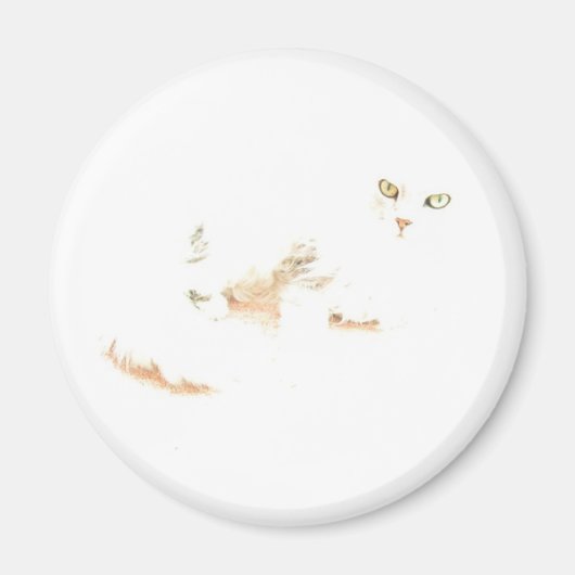 Cheshire Kitten Magneet (Voorkant)