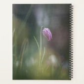 Chess Flower Nature Photo (Dos)