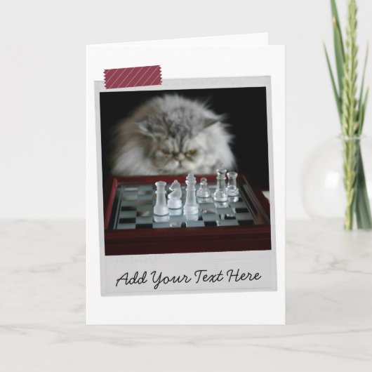 Chess Player Cat Funny Card Kaart (Voorkant)
