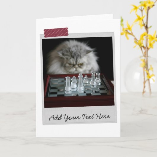 Chess Player Cat Funny Card Kaart (Gele Bloem)