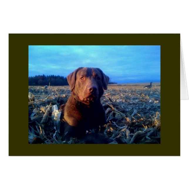Chessie (Devant horizontal)