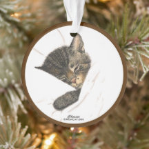 Chessie the Kitten Acrylornament