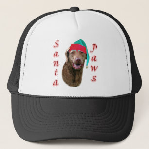 ChessiePaws Trucker Pet