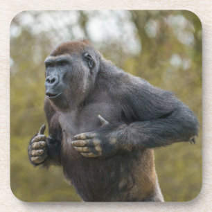 Chest Beating Gorilla Bier Onderzetter