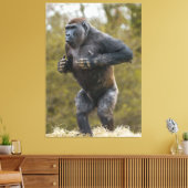 Chest Beating Gorilla Canvas Afdruk (Insitu (Woonkamer))