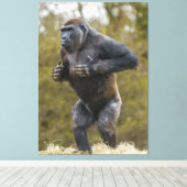 Chest Beating Gorilla Canvas Afdruk (Insitu (Houten vloer))