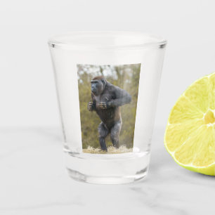 Chest Beating Gorilla Shot Glas