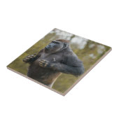 Chest Beating Gorilla Tegeltje (Zijkant)