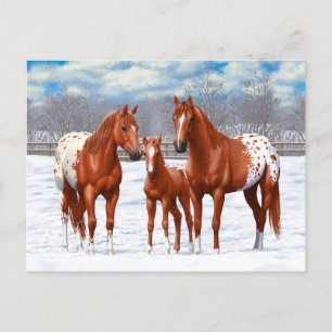 Chestnut Appaloosa Sorrel Quarter Paarden in sneeu Briefkaart