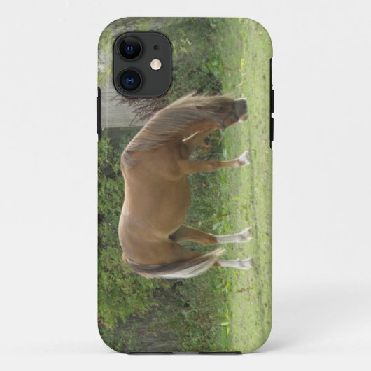 Chestnut Brown Horse Grazing iPhone Case (Achterkant)