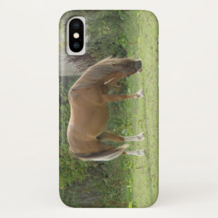Chestnut Brown Horse Grazing iPhone Case