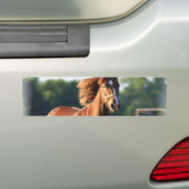 Chestnut Galloping Horse Bumpersticker (Op auto)