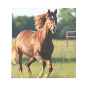 Chestnut Galloping Horse-laptop Notitieblok