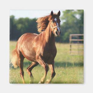 Chestnut Galloping Horse Magnet Magneet