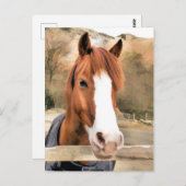 CHESTNUT HORSE BRIEFKAART (Voorkant / Achterkant)