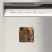 Chestnut Horse Design Magnet Carré (In Situ (Lave-vaisselle))