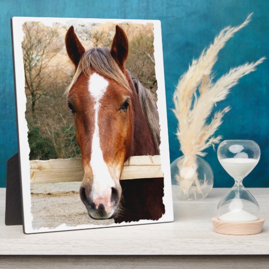 CHESTNUT HORSE FOTOPLAAT (Zijkant)