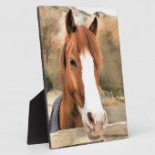 CHESTNUT HORSE FOTOPLAAT (Zijkant)