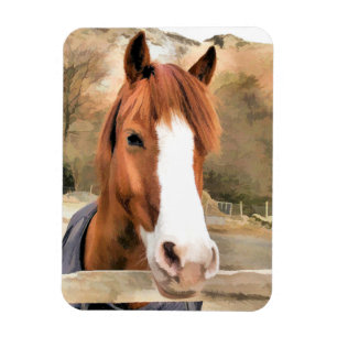 CHESTNUT HORSE MAGNEET