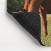 Chestnut Horse Mousepad Muismat (Hoek)