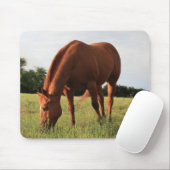 Chestnut Horse Mousepad Muismat (Met muis)