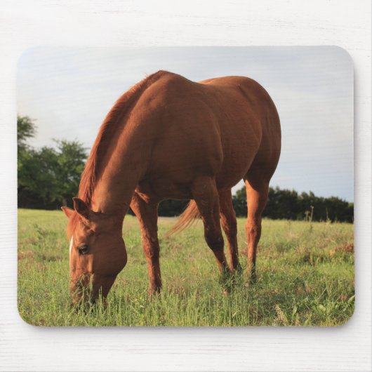 Chestnut Horse Mousepad Muismat (Voorkant)