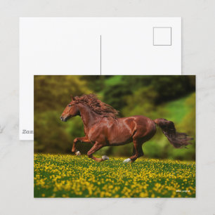 Chestnut Lusitano met boterbekertjes Briefkaart