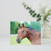 Chestnut Mare Briefkaart (Staand voorkant)