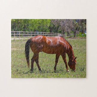 Chestnut paard in een veld legpuzzel