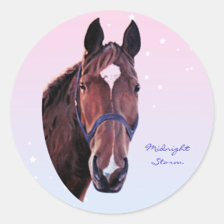 Chestnut paard met witte ster ronde sticker