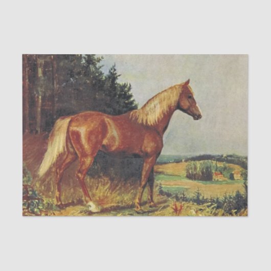 Chestnut Paard Tissuepapier (Voorkant)