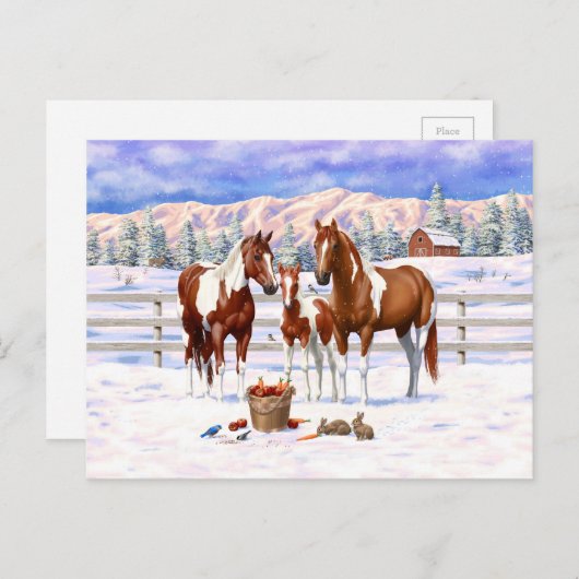 Chestnut pinto sorrel schildert kwart paarden in s briefkaart (Voorkant / Achterkant)