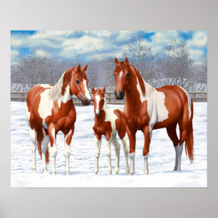 Chestnut pinto sorrel schildert kwart paarden in s poster